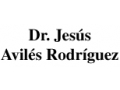 AVILES RODRIGUEZ JESUS DR