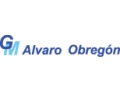 GRUPO MEDICO ALVARO OBREGON