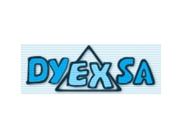 logo DYEXSA