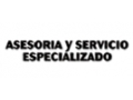 ASESORIA Y SERVICIO ESPECIALIZADO