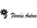 FLORERIA ANDREA